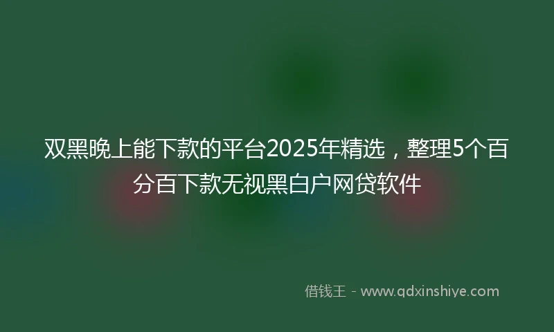 双黑晚上能下款的平台2025年精选，整理5个百分百下款无视黑白户网贷软件