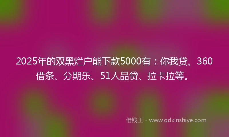 2025年的双黑烂户能下款5000有：你我贷、360借条、分期乐、51人品贷、拉卡拉等。