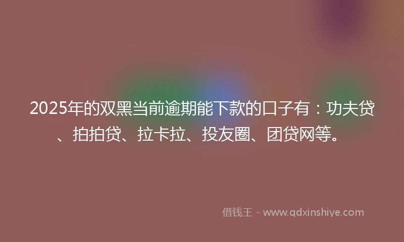 2025年的双黑当前逾期能下款的口子有：功夫贷、拍拍贷、拉卡拉、投友圈、团贷网等。