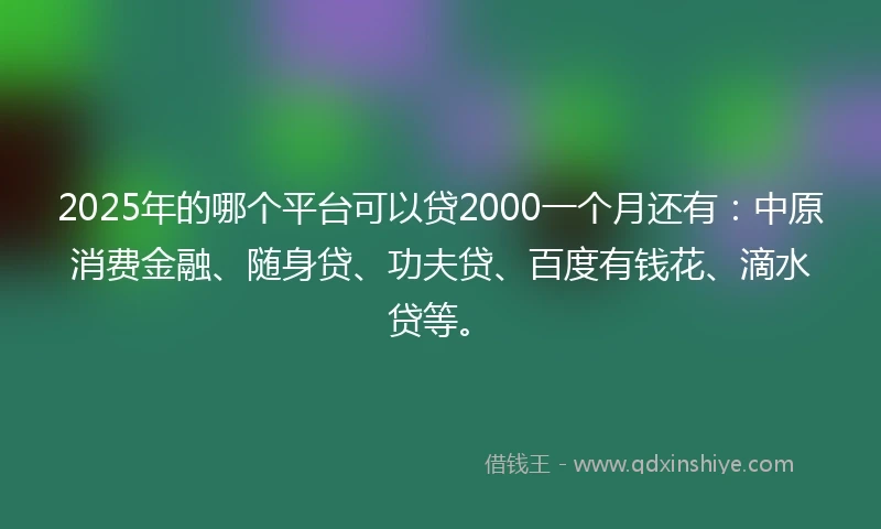 2025年的哪个平台可以贷2000一个月还有：中原消费金融、随身贷、功夫贷、百度有钱花、滴水贷等。