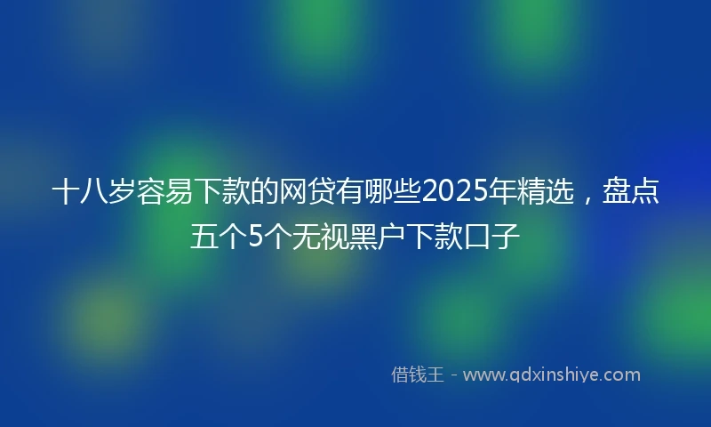 十八岁容易下款的网贷有哪些2025年精选，盘点五个5个无视黑户下款口子