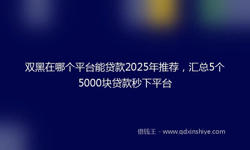 双黑在哪个平台能贷款2025年推荐，汇总5个5000块贷款秒下平台