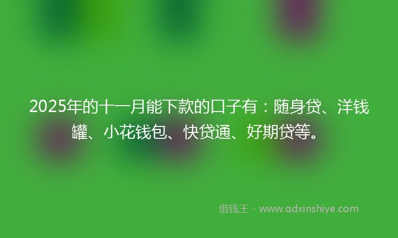 2025年的十一月能下款的口子有：随身贷、洋钱罐、小花钱包、快贷通、好期贷等。