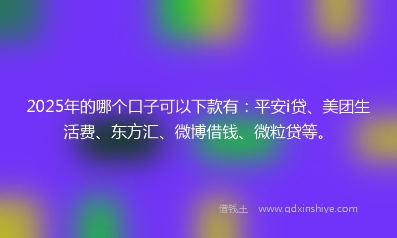 2025年的哪个口子可以下款有：平安i贷、美团生活费、东方汇、微博借钱、微粒贷等。