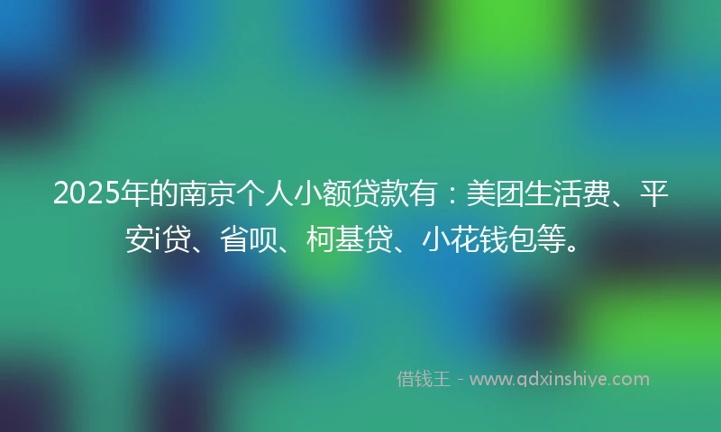 2025年的南京个人小额贷款有：美团生活费、平安i贷、省呗、柯基贷、小花钱包等。