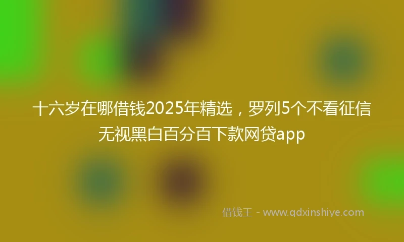十六岁在哪借钱2025年精选，罗列5个不看征信无视黑白百分百下款网贷app
