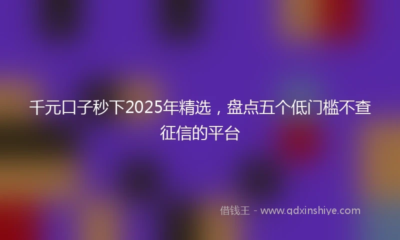 千元口子秒下2025年精选，盘点五个低门槛不查征信的平台