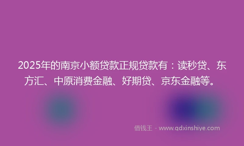 2025年的南京小额贷款正规贷款有：读秒贷、东方汇、中原消费金融、好期贷、京东金融等。