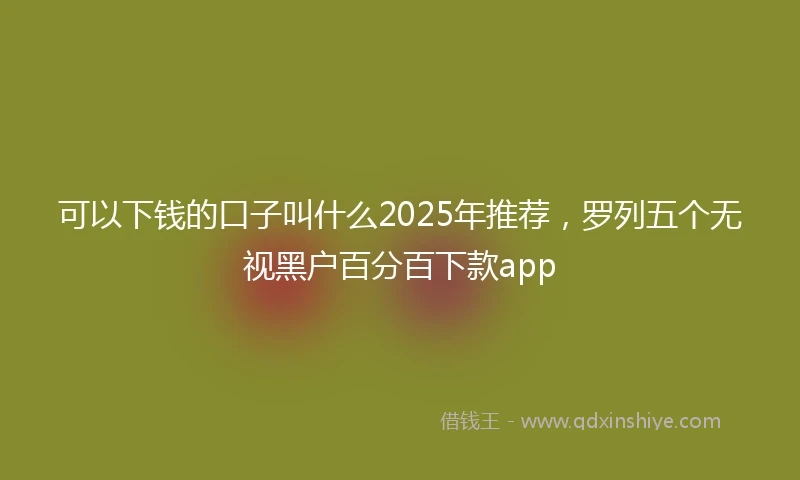 可以下钱的口子叫什么2025年推荐,罗列五个无视黑户百分百下款app