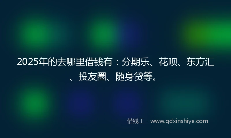 2025年的去哪里借钱有：分期乐、花呗、东方汇、投友圈、随身贷等。