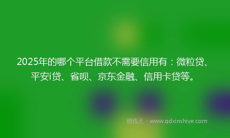 2025年的哪个平台借款不需要信用有：微粒贷、平安i贷、省呗、京东金融、信用卡贷等。