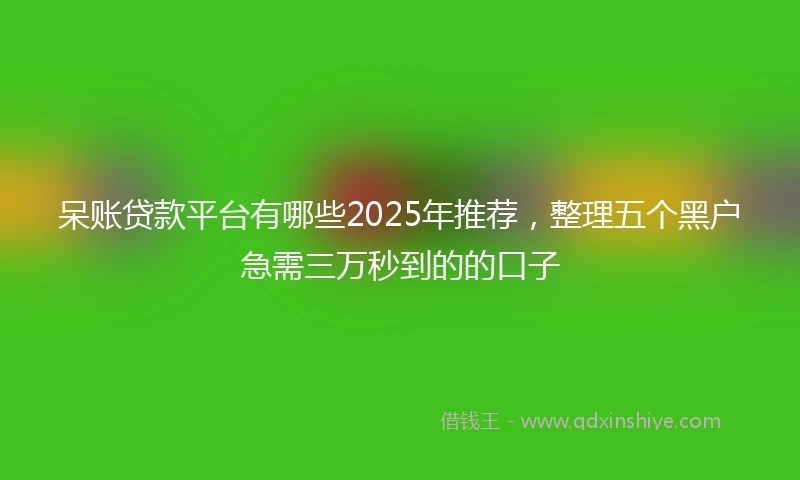 呆账贷款平台有哪些2025年推荐，整理五个黑户急需三万秒到的的口子