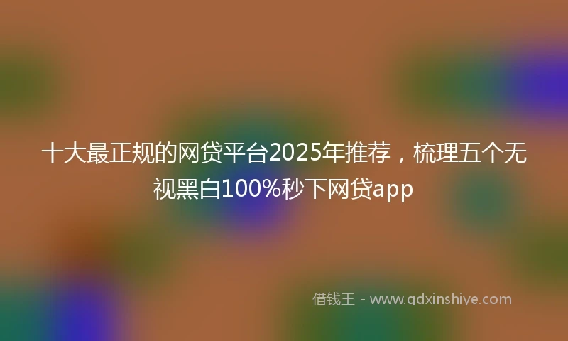 十大最正规的网贷平台2025年推荐，梳理五个无视黑白100%秒下网贷app
