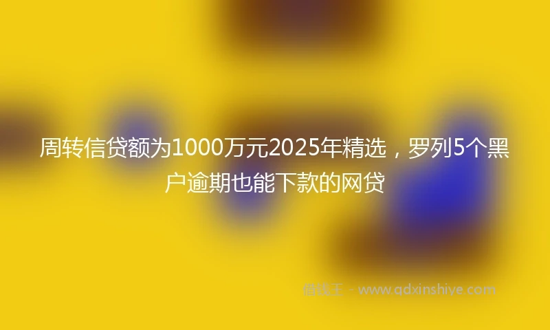 周转信贷额为1000万元2025年精选，罗列5个黑户逾期也能下款的网贷