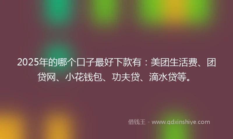 2025年的哪个口子最好下款有：美团生活费、团贷网、小花钱包、功夫贷、滴水贷等。