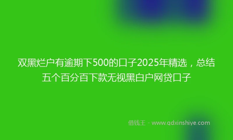 双黑烂户有逾期下500的口子2025年精选，总结五个百分百下款无视黑白户网贷口子