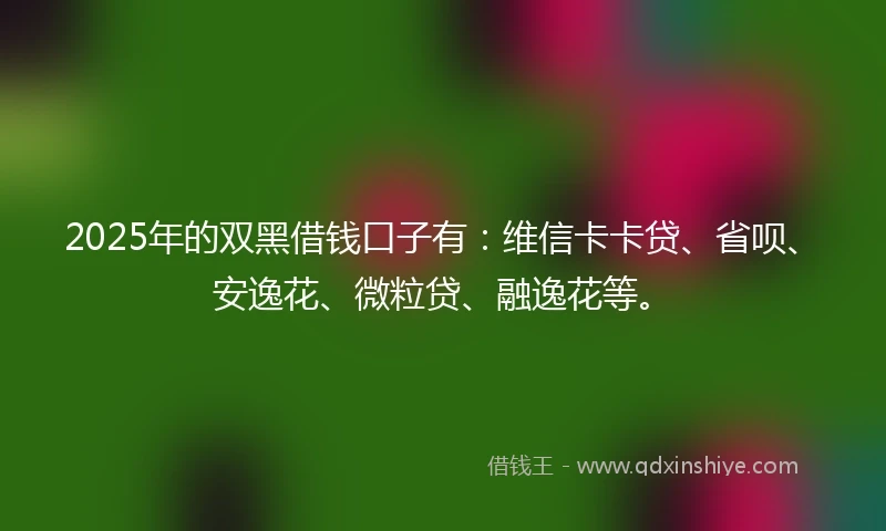 2025年的双黑借钱口子有：维信卡卡贷、省呗、安逸花、微粒贷、融逸花等。