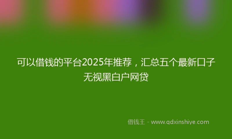 可以借钱的平台2025年推荐，汇总五个最新口子无视黑白户网贷