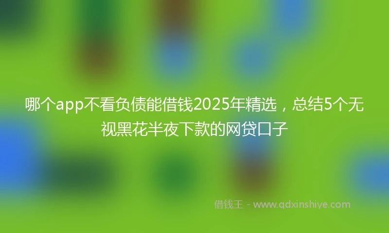 哪个app不看负债能借钱2025年精选，总结5个无视黑花半夜下款的网贷口子