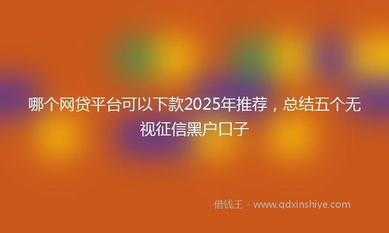 哪个网贷平台可以下款2025年推荐，总结五个无视征信黑户口子