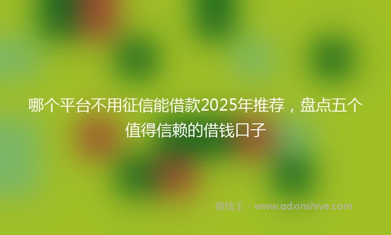 哪个平台不用征信能借款2025年推荐，盘点五个值得信赖的借钱口子
