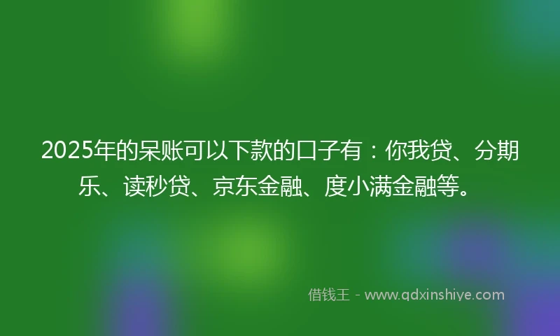 2025年的呆账可以下款的口子有：你我贷、分期乐、读秒贷、京东金融、度小满金融等。