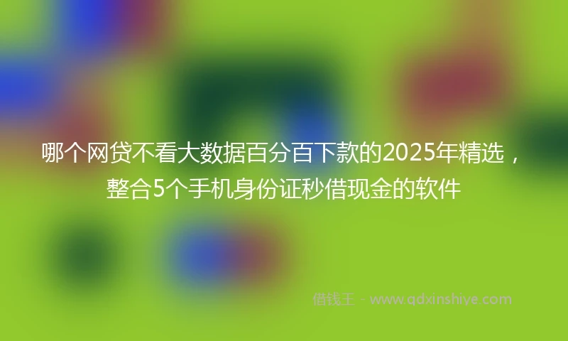 哪个网贷不看大数据百分百下款的2025年精选,整合5个手机身份证秒借现金的软件