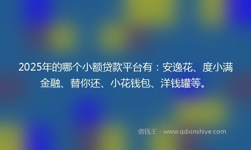 2025年的哪个小额贷款平台有：安逸花、度小满金融、替你还、小花钱包、洋钱罐等。
