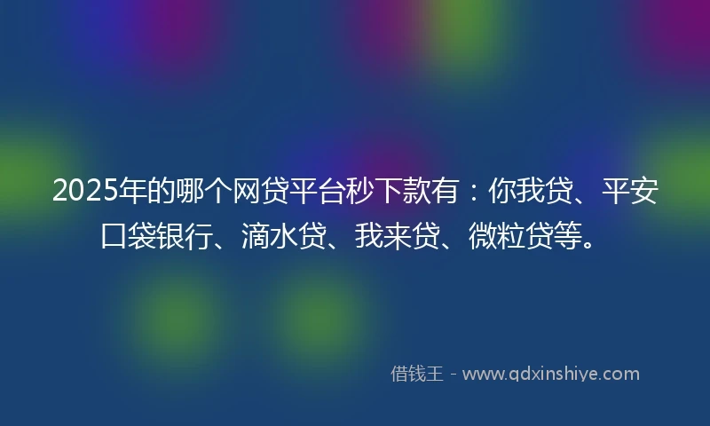 2025年的哪个网贷平台秒下款有：你我贷、平安口袋银行、滴水贷、我来贷、微粒贷等。