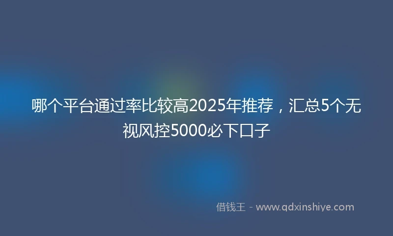 哪个平台通过率比较高2025年推荐，汇总5个无视风控5000必下口子