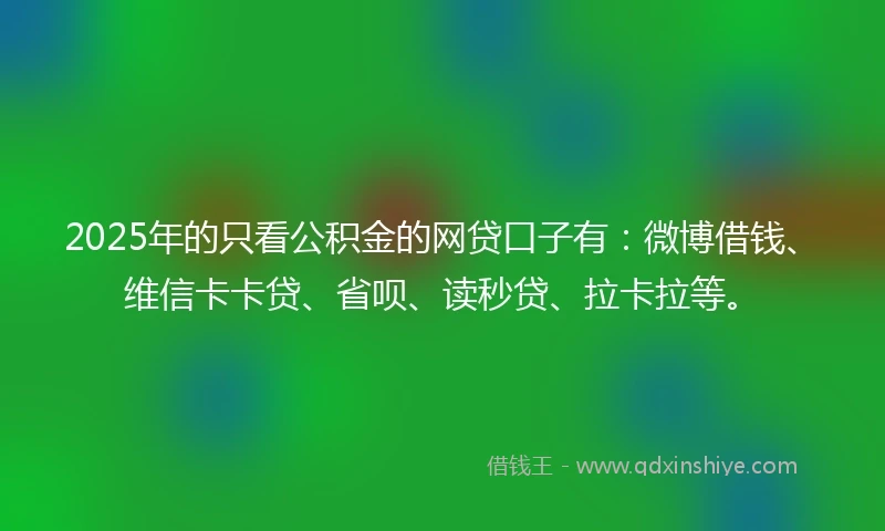 2025年的只看公积金的网贷口子有：微博借钱、维信卡卡贷、省呗、读秒贷、拉卡拉等。