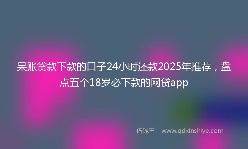 呆账贷款下款的口子24小时还款2025年推荐，盘点五个18岁必下款的网贷app