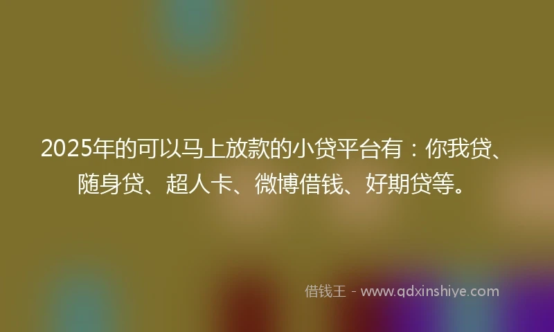 2025年的可以马上放款的小贷平台有：你我贷、随身贷、超人卡、微博借钱、好期贷等。