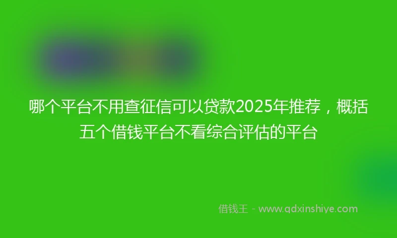 哪个平台不用查征信可以贷款2025年推荐，概括五个借钱平台不看综合评估的平台