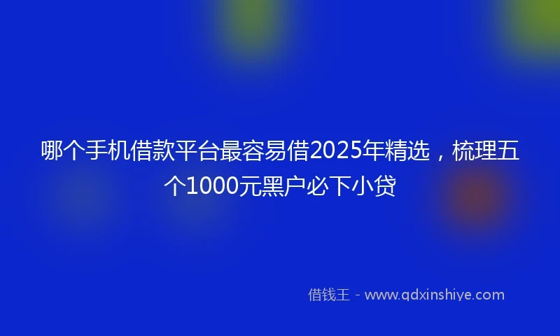 哪个手机借款平台最容易借2025年精选，梳理五个1000元黑户必下小贷