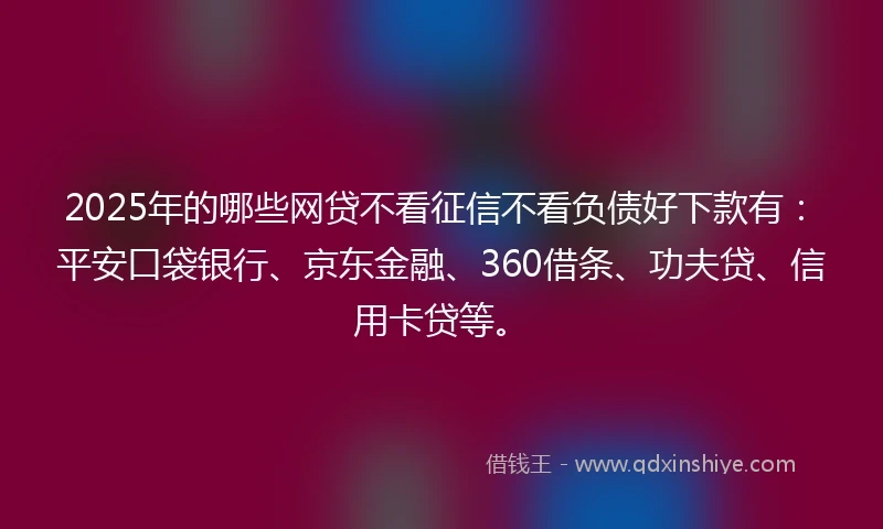 2025年的哪些网贷不看征信不看负债好下款有：平安口袋银行、京东金融、360借条、功夫贷、信用卡贷等。