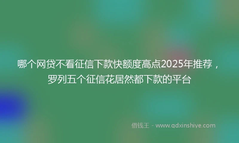 哪个网贷不看征信下款快额度高点2025年推荐，罗列五个征信花居然都下款的平台