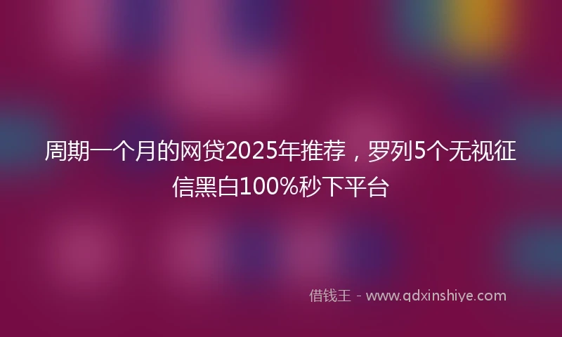 周期一个月的网贷2025年推荐，罗列5个无视征信黑白100%秒下平台