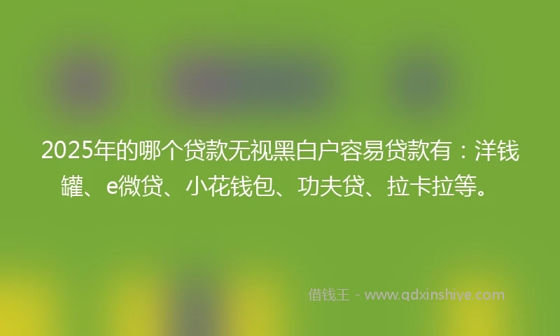 2025年的哪个贷款无视黑白户容易贷款有：洋钱罐、e微贷、小花钱包、功夫贷、拉卡拉等。