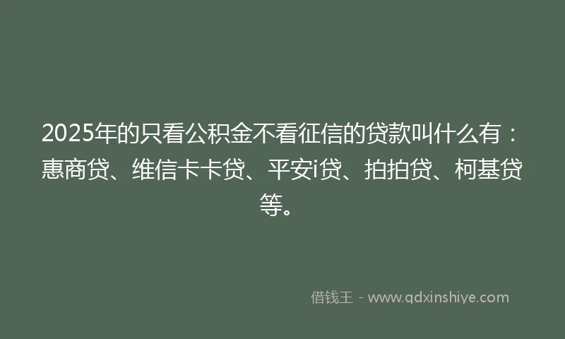 2025年的只看公积金不看征信的贷款叫什么有：惠商贷、维信卡卡贷、平安i贷、拍拍贷、柯基贷等。