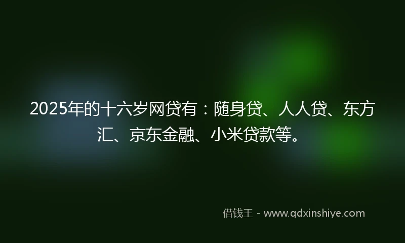 2025年的十六岁网贷有：随身贷、人人贷、东方汇、京东金融、小米贷款等。
