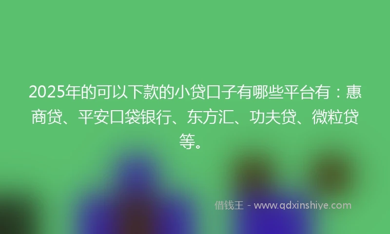 2025年的可以下款的小贷口子有哪些平台有：惠商贷、平安口袋银行、东方汇、功夫贷、微粒贷等。
