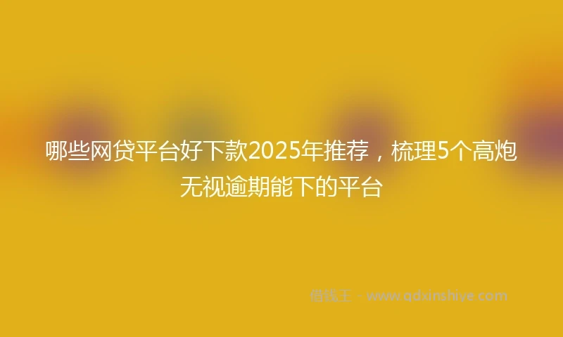哪些网贷平台好下款2025年推荐，梳理5个高炮无视逾期能下的平台