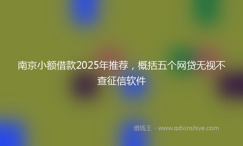 南京小额借款2025年推荐，概括五个网贷无视不查征信软件