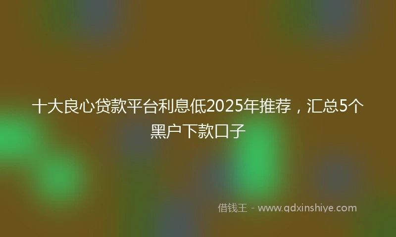 十大良心贷款平台利息低2025年推荐，汇总5个黑户下款口子