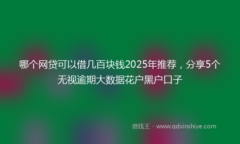 哪个网贷可以借几百块钱2025年推荐，分享5个无视逾期大数据花户黑户口子
