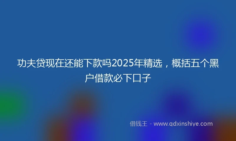 功夫贷现在还能下款吗2025年精选，概括五个黑户借款必下口子