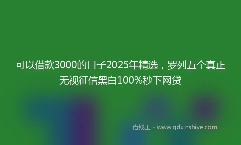 可以借款3000的口子2025年精选，罗列五个真正无视征信黑白100%秒下网贷