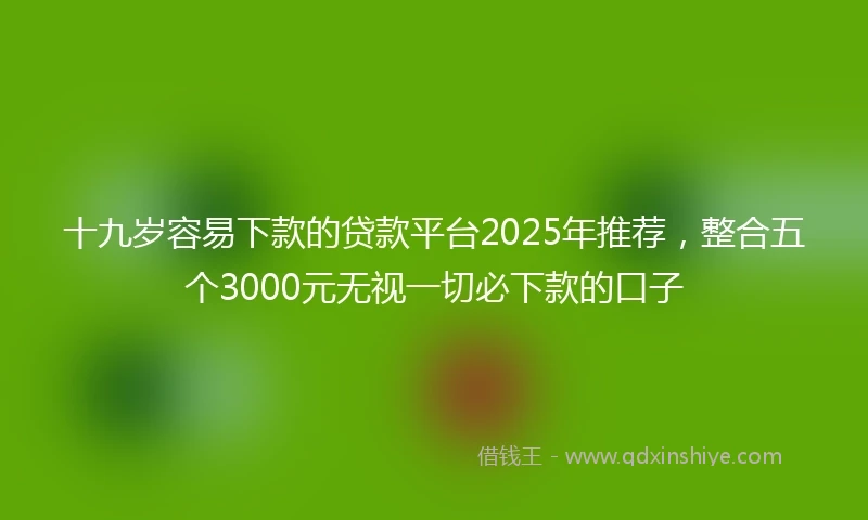 十九岁容易下款的贷款平台2025年推荐，整合五个3000元无视一切必下款的口子