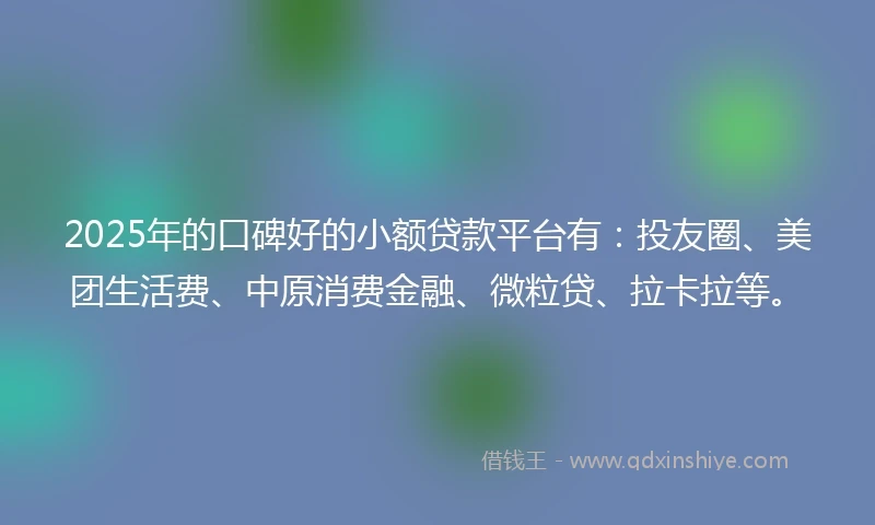 2025年的口碑好的小额贷款平台有：投友圈、美团生活费、中原消费金融、微粒贷、拉卡拉等。